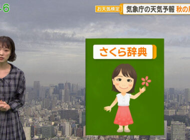 【画像】今日の今井春花さん　10.4