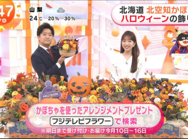 【画像】今日の藤本万梨乃さん　10.7
