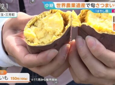 【画像】今日の御手洗菜々さん 10.23