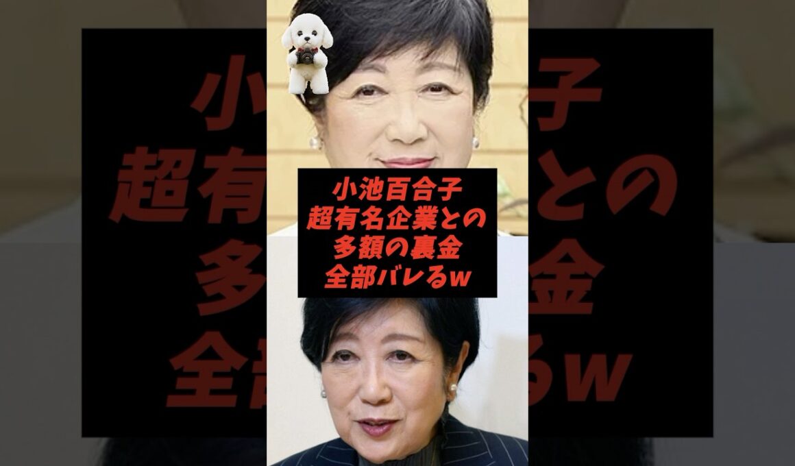 小池百合子超有名企業との多額の裏金全部バレるw