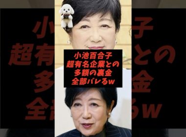 小池百合子超有名企業との多額の裏金全部バレるw