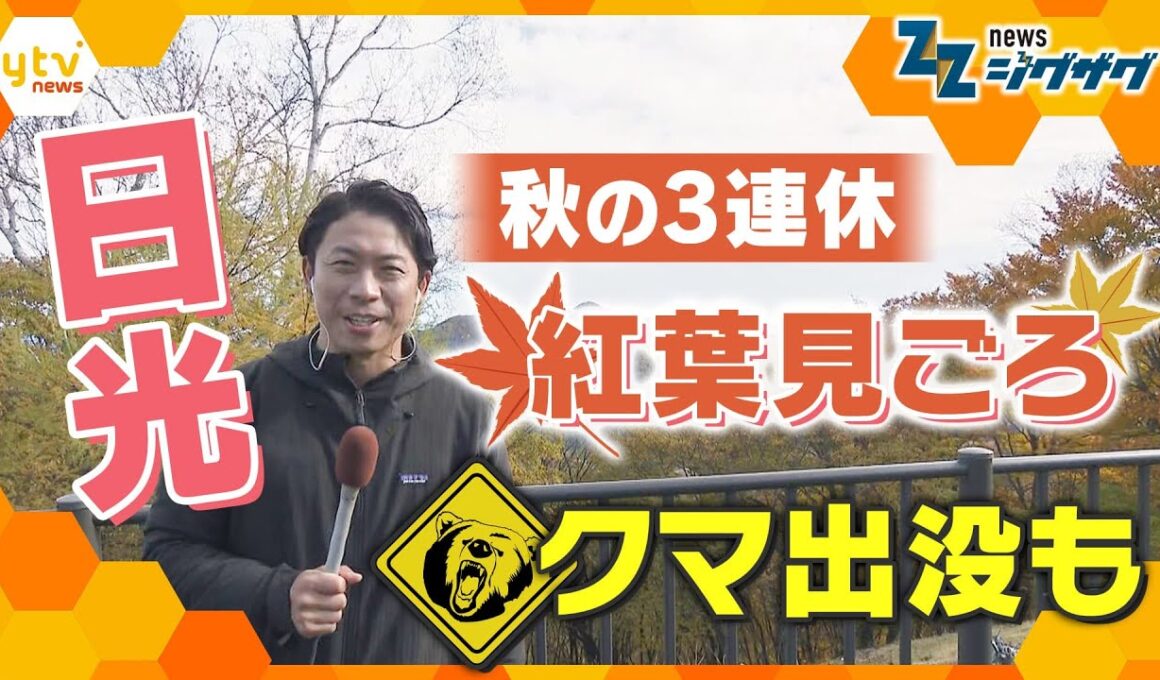 【紅葉 見ごろ】秋の3連休　クマ出没で登山道閉鎖も…栃木県・日光から中継　【ニュース ジグザグ】