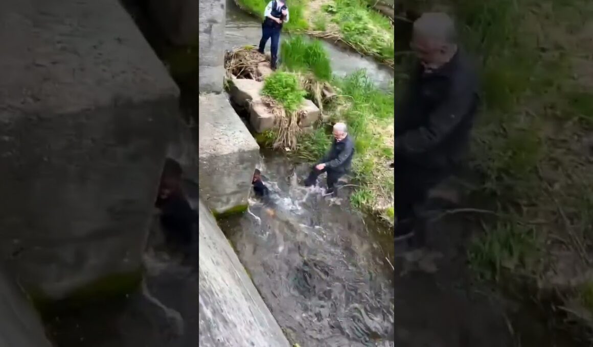 【瞬間】行方不明の4歳児を発見し救助