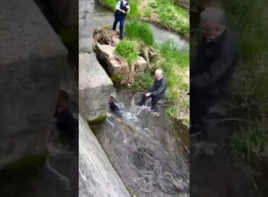 【瞬間】行方不明の4歳児を発見し救助