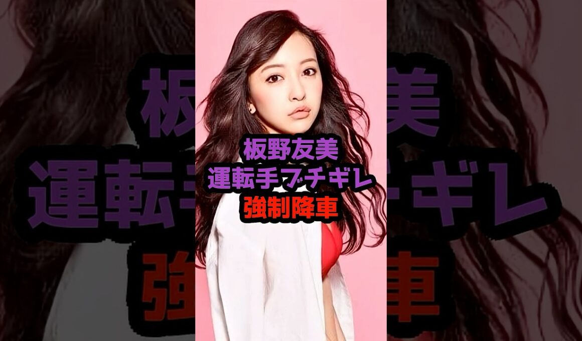 板野友美“道路の真ん中で下ろされたタクシー騒動  #板野友美 #AKB48