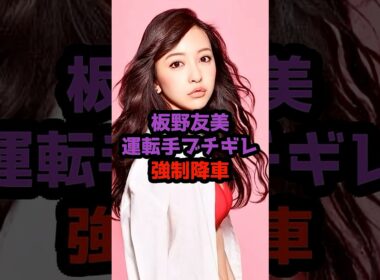 板野友美“道路の真ん中で下ろされたタクシー騒動  #板野友美 #AKB48