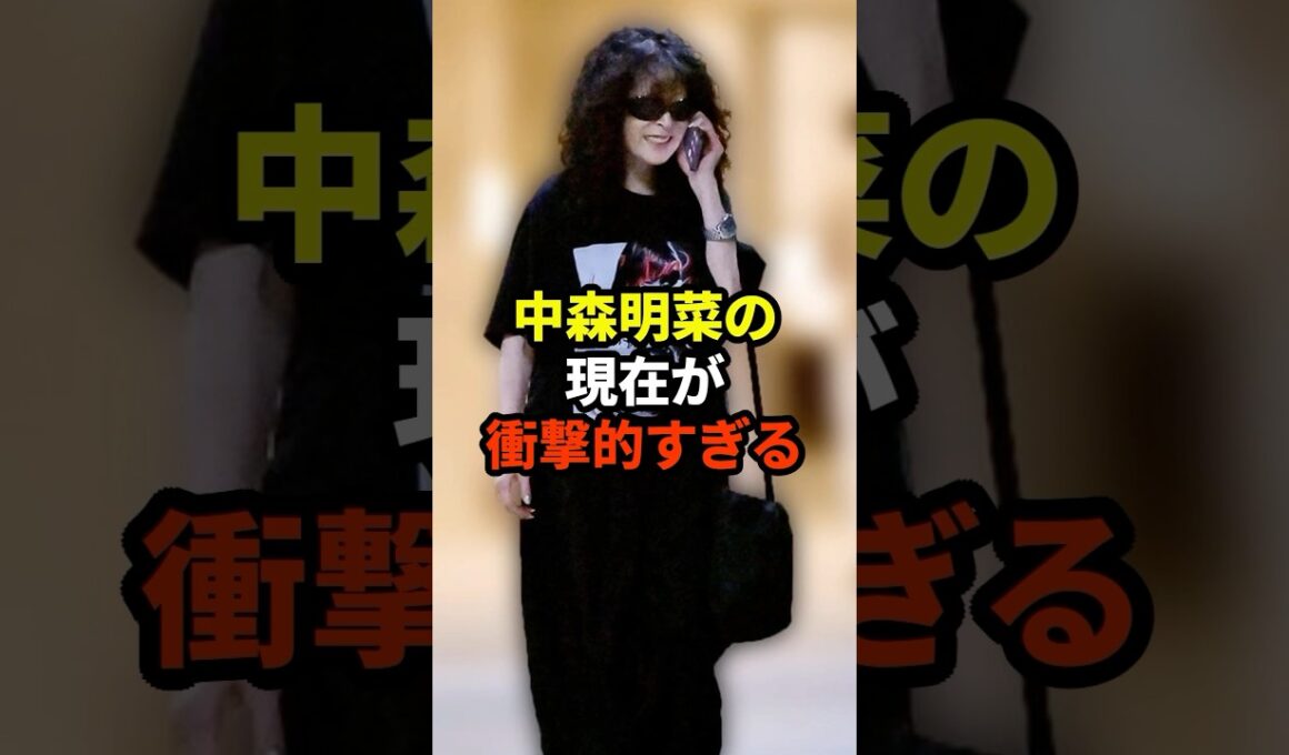 中森明菜の現在#芸能人