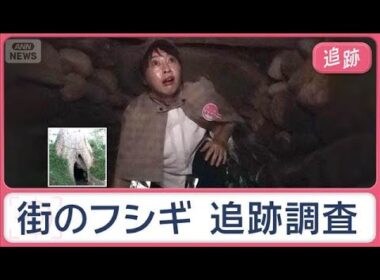 木の穴に異空間　海に連なる謎電柱　メイクばっちりの「おしろい地蔵」街のフシギ追跡【Jの追跡】【スーパーJチャンネル】(2025年11月2日)