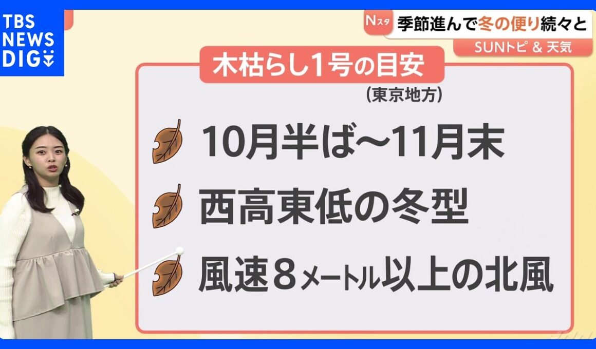 季節進んで冬の便り続々と、東京地方 木枯らし1号か？【SUNトピ】｜TBS NEWS DIG