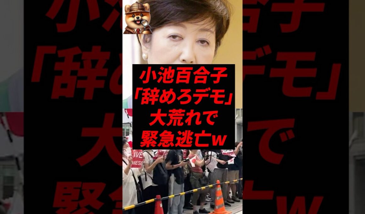 ㊗️40万再生！小池百合子、「辞めろデモ」大荒れで緊急逃亡w