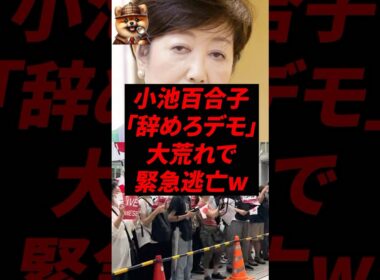 ㊗️40万再生！小池百合子、「辞めろデモ」大荒れで緊急逃亡w