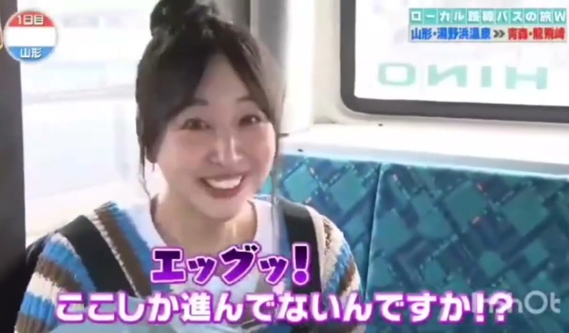 ローカル路線バス乗り継ぎの旅Ｗ！第２弾～山形県湯野浜温泉→青森県龍飛崎