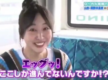 ローカル路線バス乗り継ぎの旅Ｗ！第２弾～山形県湯野浜温泉→青森県龍飛崎