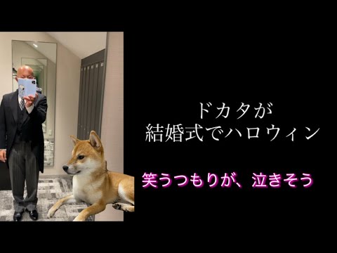 【柴犬飼い主55歳】 飼い主モーニングを着る。理由は聞かないでくれ！