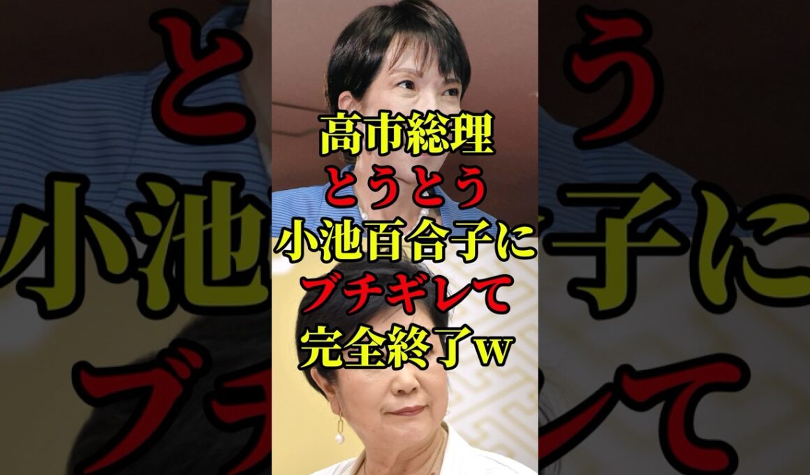 ㊗️100万再生！高市総理が小池百合子の太陽光パネル政策を真っ向から否定した！ #国会 #政治 #自民党