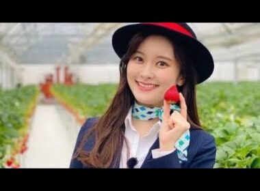 「探偵ナイトスクープ」秘書〝激レア〟ミニスカ姿に「これは刺激的過ぎる」「大胆な姿大丈夫？」「お綺麗です♡」ファン歓喜の声