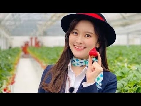 「探偵ナイトスクープ」秘書〝激レア〟ミニスカ姿に「これは刺激的過ぎる」「大胆な姿大丈夫？」「お綺麗です♡」ファン歓喜の声