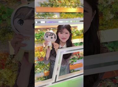 明日もファイト！9月28日 #通勤タイパ #小林李衣奈 #駒木結衣 #ファイト