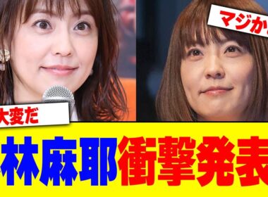 小林麻耶が衝撃の発表www【2chまとめ】【2chスレ】【5chスレ】