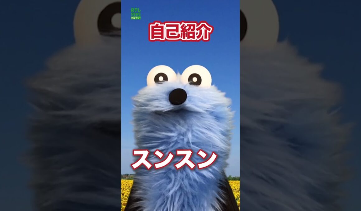 【スンスン】自己紹介　#スンスン　#パペットスンスン　#shorts