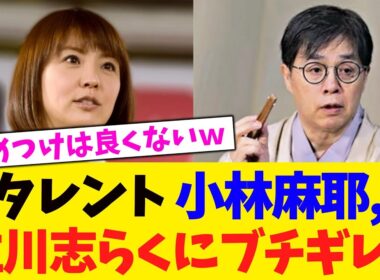 タレント 小林麻耶, 立川志らくにブチギレw【2chまとめ】【2chスレ】【5chスレ】