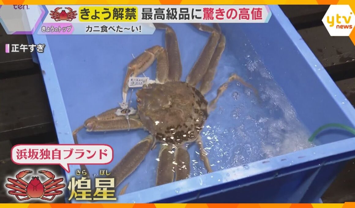 冬の味覚の王様『ズワイガニ』漁が6日解禁　最高級品に驚きの値段が!?　兵庫・浜坂漁港で初セリ