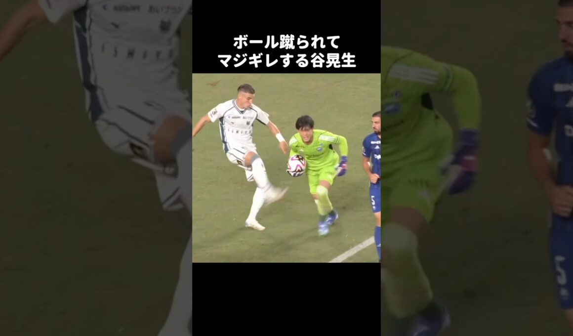 ボール蹴られてキレる谷晃生 #shorts #町田ゼルビア #jリーグ #サッカー