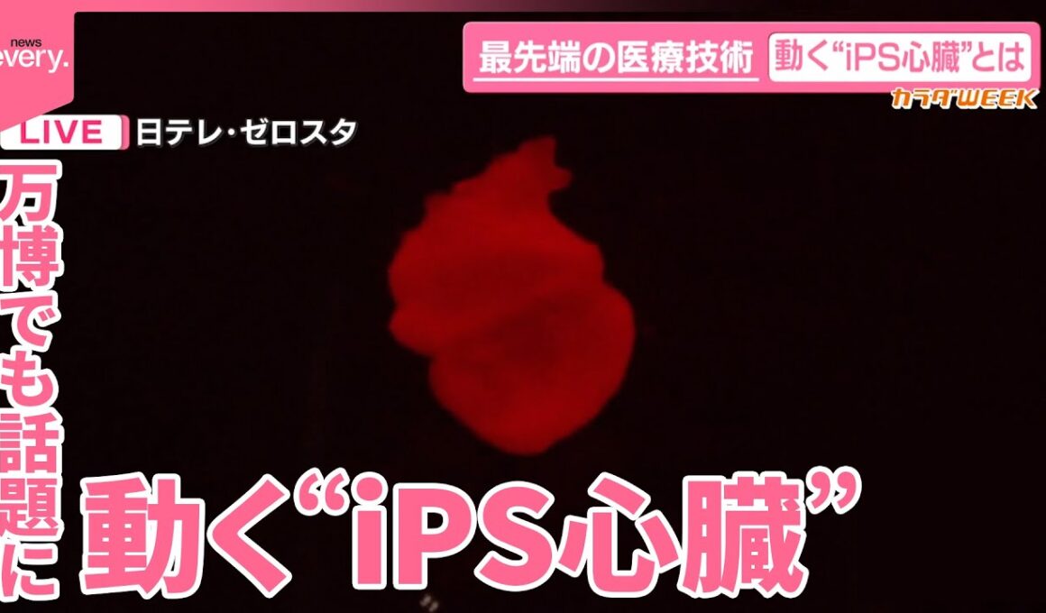 【カラダWEEK】最先端技術！動く“iPS心臓”重症患者治療に期待  万博でも話題に  無料で一般公開中