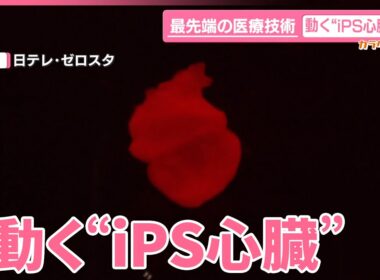 【カラダWEEK】最先端技術！動く“iPS心臓”重症患者治療に期待  万博でも話題に  無料で一般公開中