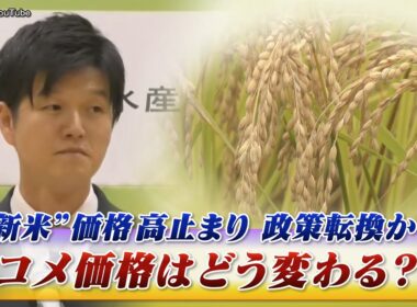 【"新米"価格高止まり】 政策転換か？ コメ価格はどう変わる？　ゲスト：西川邦夫（茨城大学学術研究院 教授）小田嶋契（秋田県立大学客員研究員）MC：近野宏明　上野愛奈　BS11　インサイドOUT
