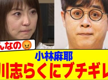 小林麻耶が立川志らくにブチギレwwwwwwwwwwwwwwwwwwwwwwwwwwwwwwwwwwwwwwwwwwwwwwwwwwwwwwwwww【2chまとめ】【2chスレ】【5chスレ】