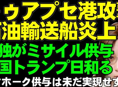 【ウクライナ情勢】ウクライナ軍、トゥアプセ港を攻撃。「ロシア最大旧の石油ターミナルの一つ」イギリスは巡航ミサイル、ドイツは防空ミサイル供与。米国トとランプはトマホークミサイル供与「あまり考えていない」