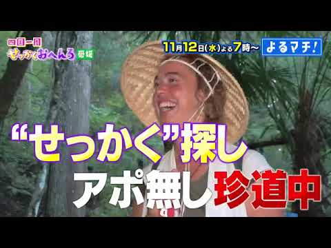 【番宣】大好評！「せっかくおへんろ」今回は”愛媛”！▽不思議!？こだわりスイーツとの出会いも続々!？▽2025-11-12（水）よる７時から！