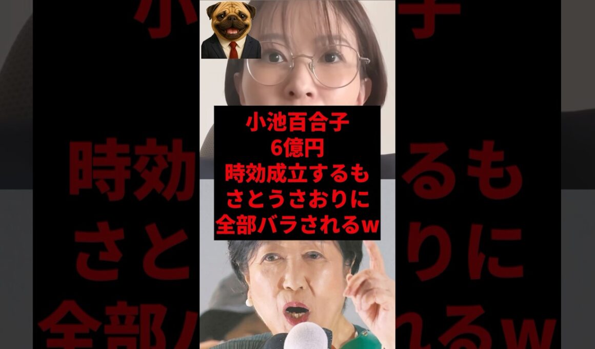 小池百合子6億円時効成功直後、全部バラされるw