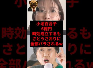 小池百合子6億円時効成功直後、全部バラされるw