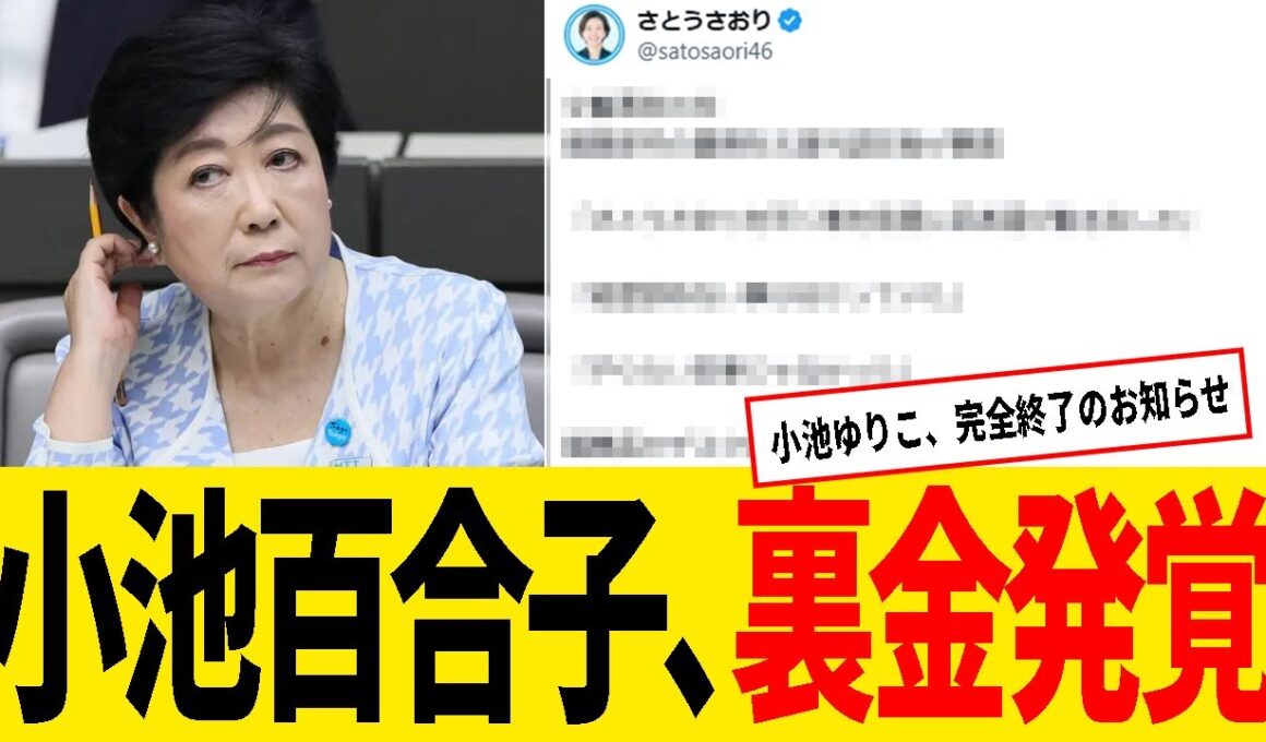 小池百合子、ソーラーパネル事業で裏金発覚！都議への嫌がらせも主導か！？【政治】