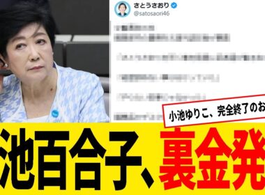 小池百合子、ソーラーパネル事業で裏金発覚！都議への嫌がらせも主導か！？【政治】