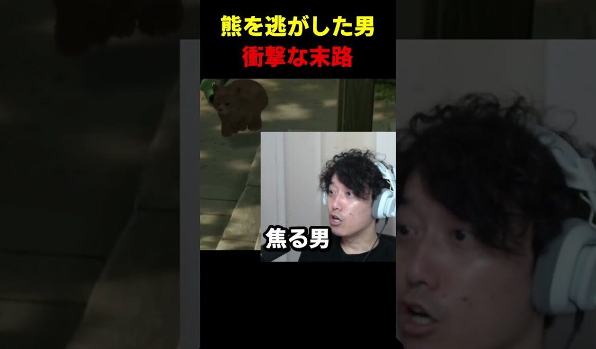 扉を開けた男の反応 #布団ちゃん #布団 #加藤純一