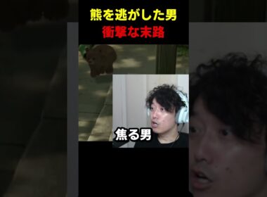 扉を開けた男の反応 #布団ちゃん #布団 #加藤純一