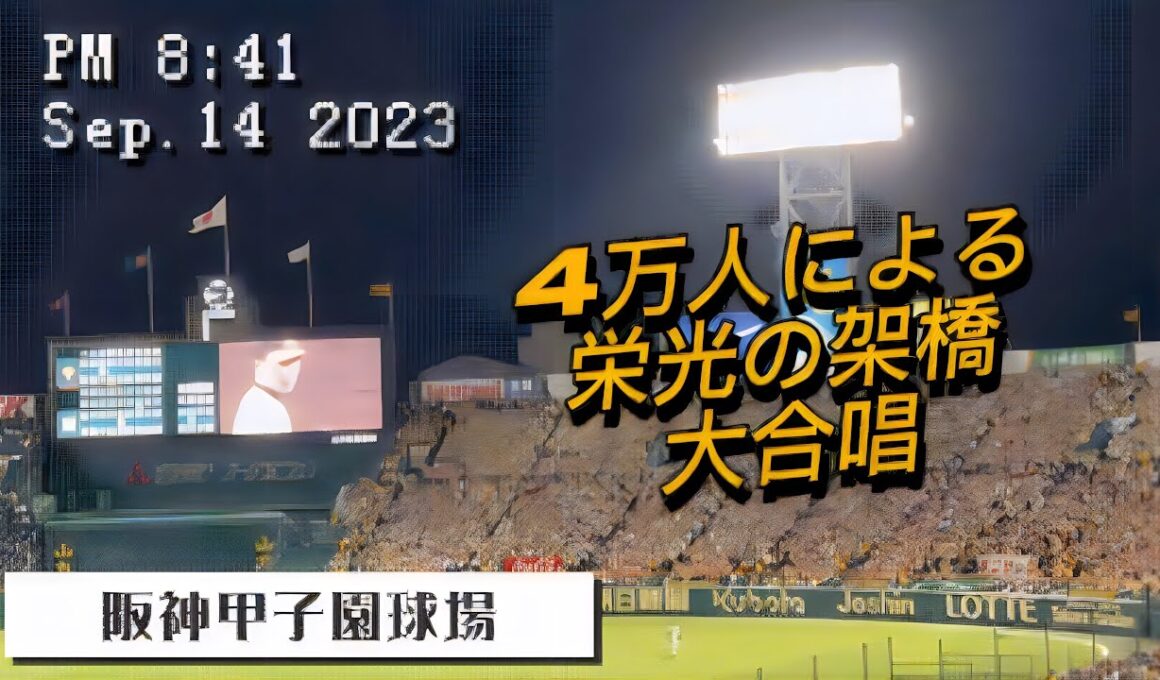 【再掲】甲子園が泣いた【栄光の架橋】阪神ファンでなくても感涙！4万人の大合唱♪