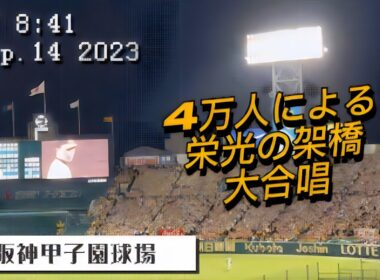 【再掲】甲子園が泣いた【栄光の架橋】阪神ファンでなくても感涙！4万人の大合唱♪