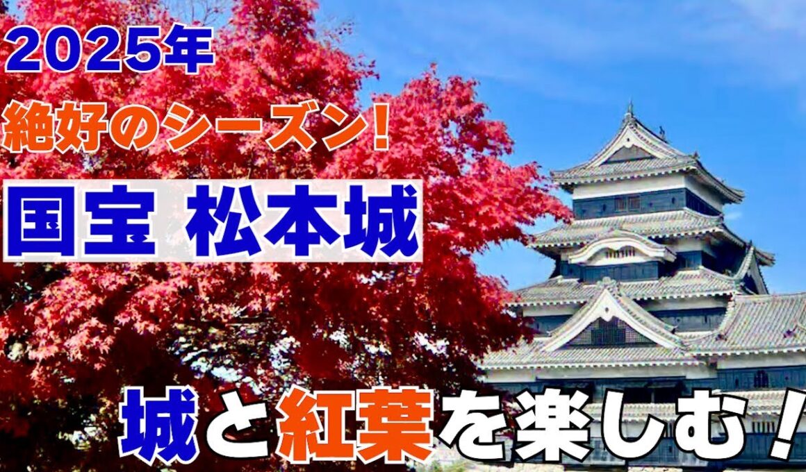 #112 【国宝松本城と紅葉】2025年ベストシーズンを迎える長野の紅葉
