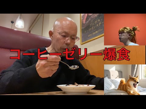 【柴犬飼い主55歳】尾崎を感じながら、コーヒーゼリーを食べ続ける飼い主。