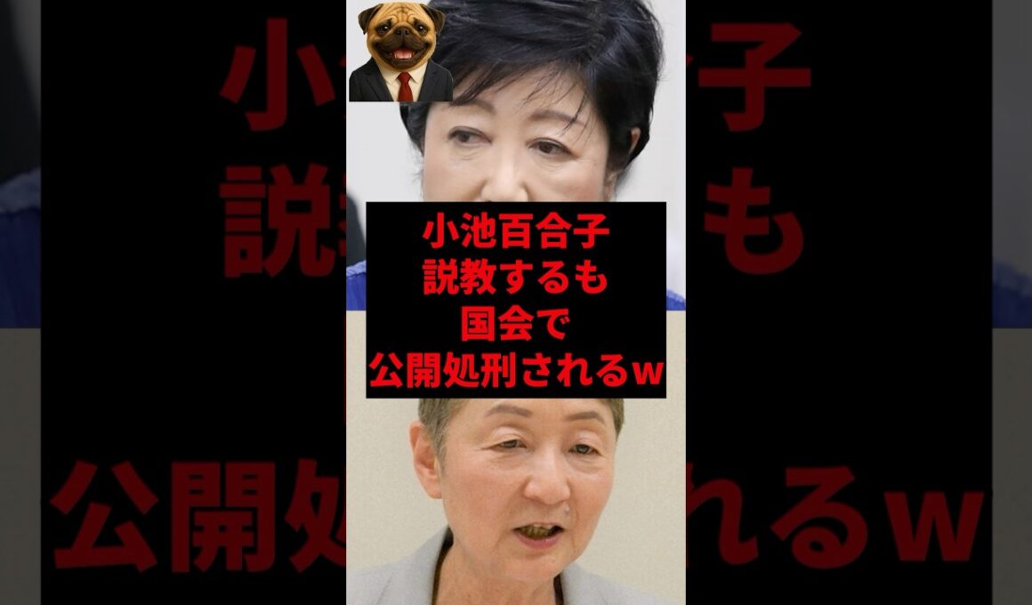 小池百合子、説教するも国会で公開処刑されるw