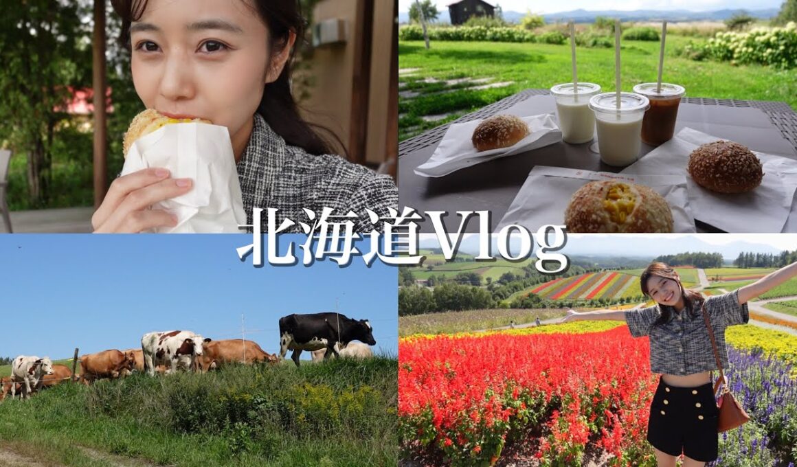 【両親初登場】家族で秋の北海道旅行🐄富良野・美瑛編【お寿司/牧場/お花畑/白い池】