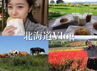 【両親初登場】家族で秋の北海道旅行🐄富良野・美瑛編【お寿司/牧場/お花畑/白い池】