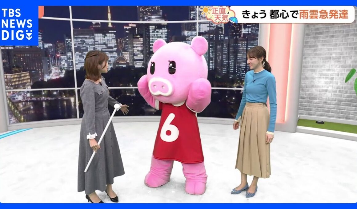 【11月11日 関東の天気】気温ダウン霜の季節｜TBS NEWS DIG