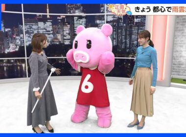 【11月11日 関東の天気】気温ダウン霜の季節｜TBS NEWS DIG