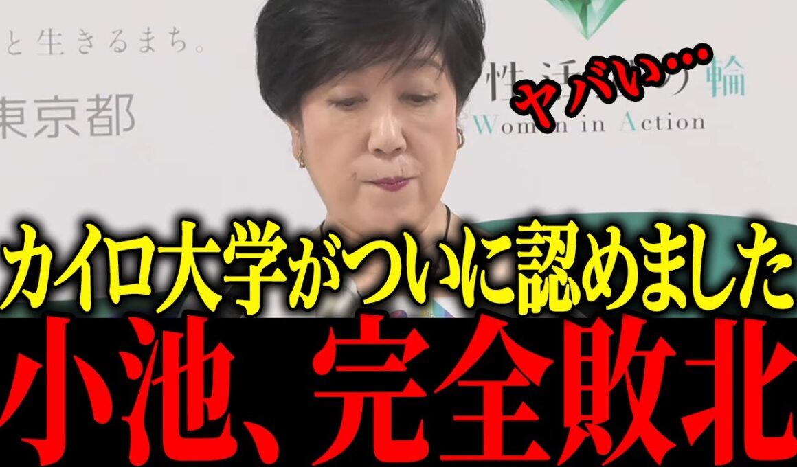 【小池百合子】※遂に学歴詐称問題について明らかに…【佐藤沙織里 消費税 東京都議会本会議】