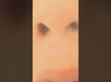 鼻と口